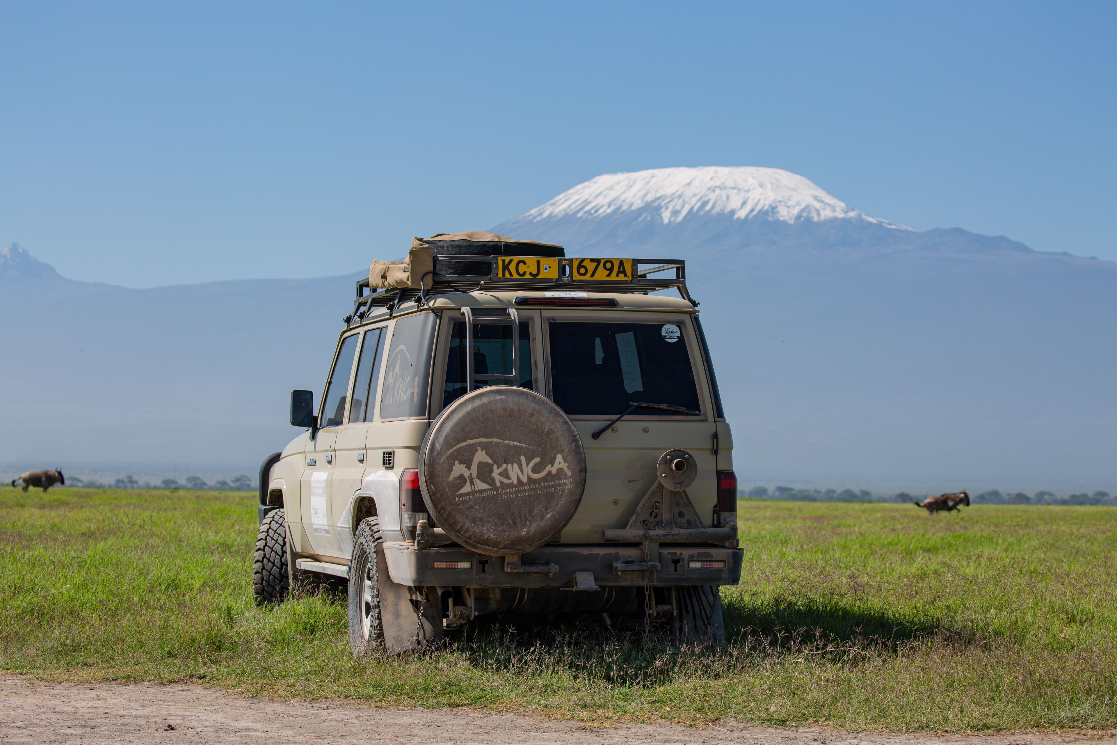The Wildebeest River Crossing