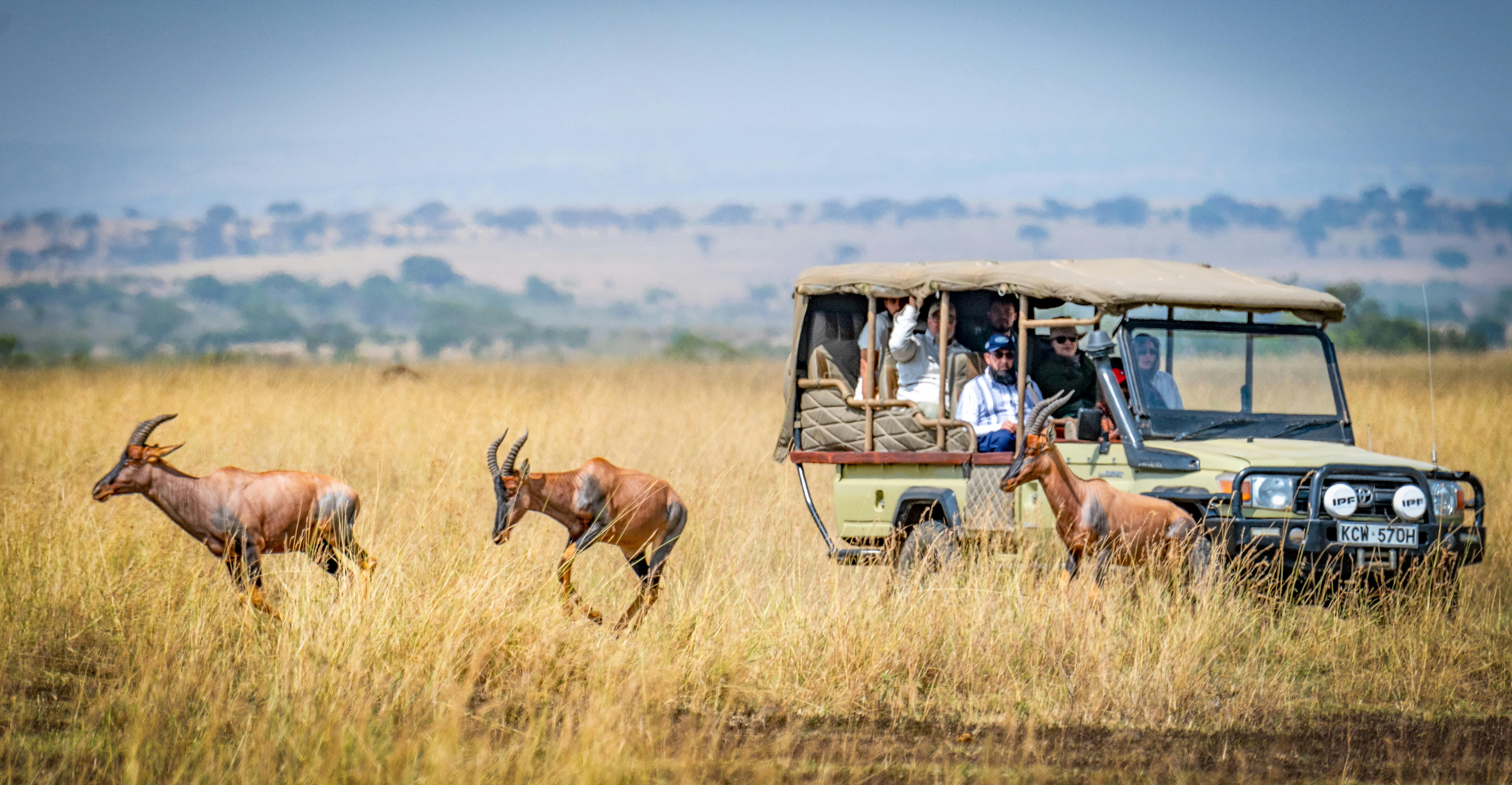 Kenya Safari